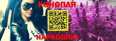 крисы Ипатово