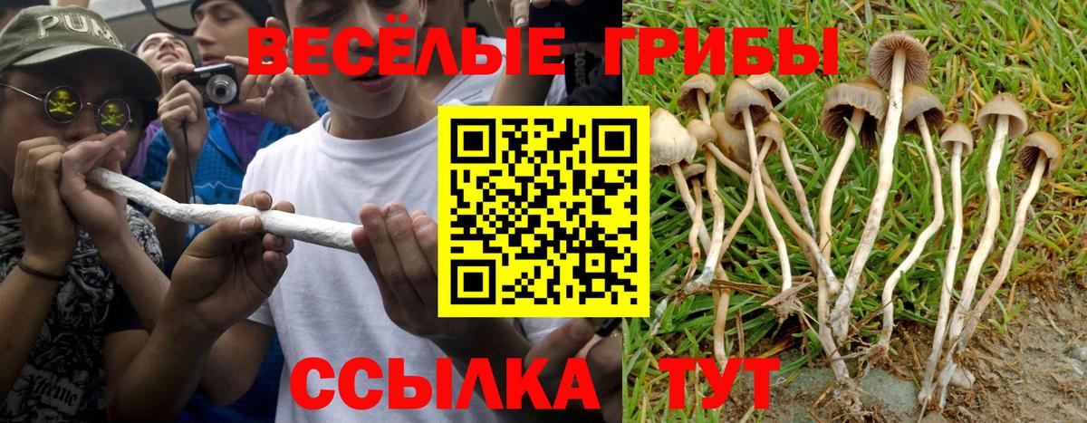 закладка  Галлюциногенные грибы мухоморы  Вход с VPN  Лангепас 